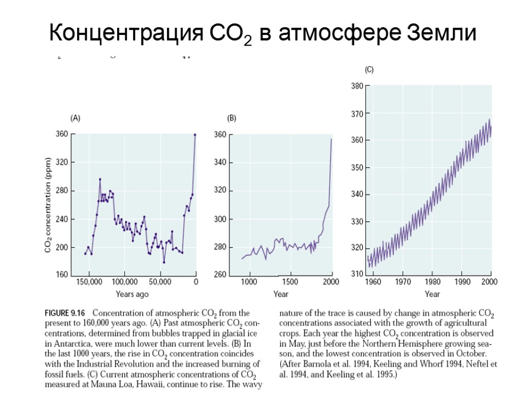 Концентрация СО2 в атмосфере Земли